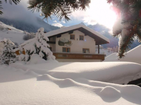 Apart Pension Bergfrieden, Nauders